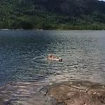 Sommeridyll I Vannkanten Bygland